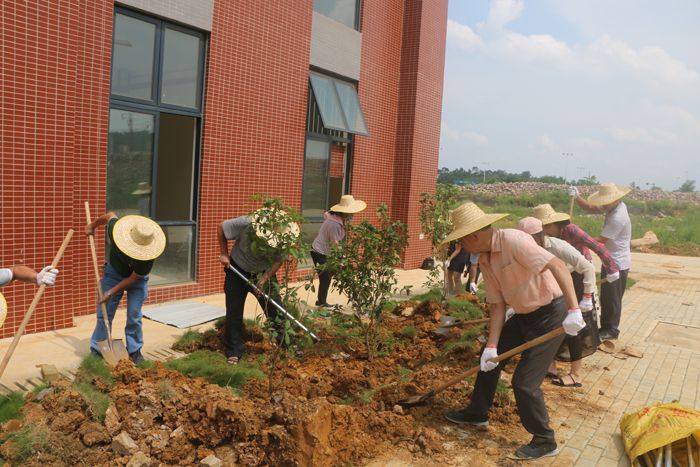 开展义务植树主题党日活动，为党庆生